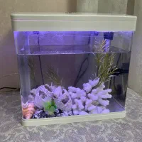 آکواریوم دلسا مدل k320