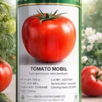 نهال گوجه فرنگی