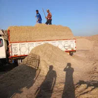 فروشی|حیوانات مزرعه|زارچ, |دیوار