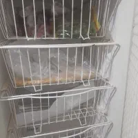 یخچال فریز طرح ارج قدیم