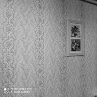 نقاشی ساختمان طرح کاغذدیواری|خدمات پیشه و مهارت|جهرم, |دیوار