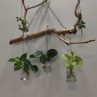 استند چوبی و شیشه گل قلمه