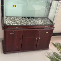 اکواریوم