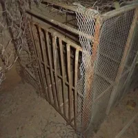 لونه مرغ|لوازم جانبی حیوانات|آبدانان, |دیوار