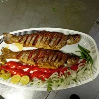 سالن کار خانم