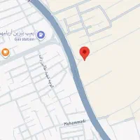 ساندویچ و صبحانه زن بوفه دانشگاه