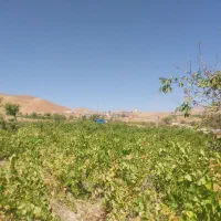 زمین-75متری