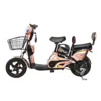 دوچرخه برقی وینر اسکای Winnersky|دوچرخه، اسکیت، اسکوتر|شیراز, ملاصدرا|دیوار