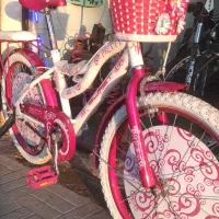 دوچرخه۲۰دخترانه