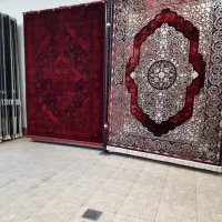 گالری فرش افشار|فرش|زنجان, |دیوار