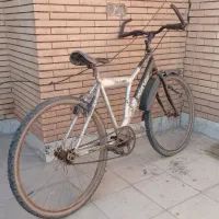 دو چرخه 26
