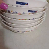 کاسه اب گوشت خوری