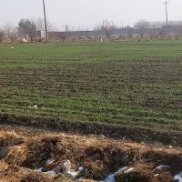 زمین کشاورزی