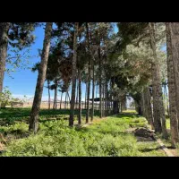 اجاره شش هزار متر از باغ|اجارهٔ دفتر صنعتی، کشاورزی، تجاری|شیراز, دست خضر|دیوار
