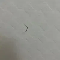 درب|مصالح و تجهیزات ساختمان|کرمانشاه, |دیوار