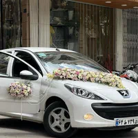 ازدواج اسان اعیانی قم