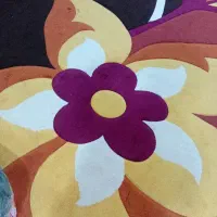 یک دست فرش ۱۲ متری تمیز