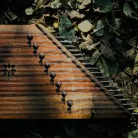 آموزش سنتور (برای تمامی گروه های سنی )