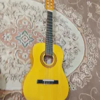 گیتار ایرین