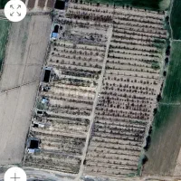 باسلام فروش باغ 3000 متربا90 دقیقه آب|فروش دفتر صنعتی، کشاورزی، تجاری|فریمان, |دیوار