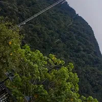 فروش زمین کشاورزی