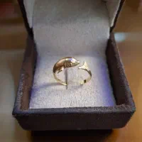 انگشتر های خاص پسند|جواهرات|اردبیل, |دیوار