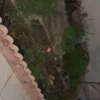 ۳۰۰متر ویلا|فروش خانه و ویلا|باسمنج, |دیوار