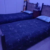 دوعدد تخت یه نفره باتشک دست دوز