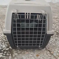 وسایل کامل برای گربه