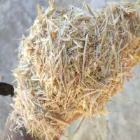 کاه گندم درجه یک|حیوانات مزرعه|رونیز, |دیوار