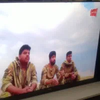 تلویزیون