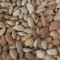 آلو و انجیر|خوردنی و آشامیدنی|قائن, |دیوار