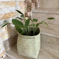 سبدهای حصیری|صنایع دستی و سایر لوازم تزئینی|ارژن, |دیوار