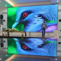 تلوزیون شهری