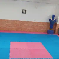 ورزش