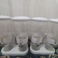 جاحبوباتی دوقلو
