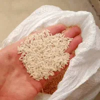 برنج هاشمی گیلان درجه یک