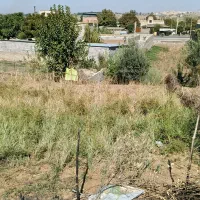 زمین فروشی در کلوکند