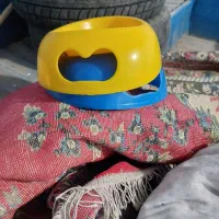 وسایل نگهداری سگ  پا کوتاه