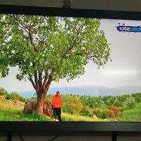 تلویزیون سونی ال سی دی|تلویزیون و پروژکتور|قم, انسجام|دیوار