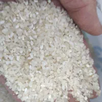 نیم دانه کامفیروزی