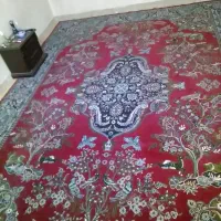 فرش 12متری|فرش|سمنان, |دیوار