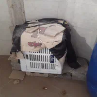 کولر ابی برفاب