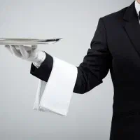 استخدام ویتر حرفه ای