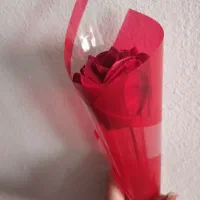 گل‌.|گل مصنوعی|زنجان, |دیوار