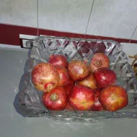 جا میوه و شیرینی مارک ژاپن|ظروف سرو و پذیرایی|رباط‌کریم, رباط‌کریم|دیوار