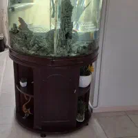 فروش آکواریوم|ماهی|جم, |دیوار