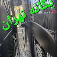 پنکه صنعتی خشک و مه پاش مهپاش مکنزی در ۲ سایز|پنکه و تصفیه‌کنندهٔ هوا|تهران, باغ فردوس|دیوار