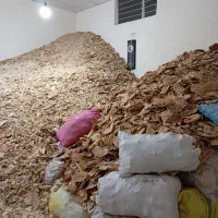 نان خشک