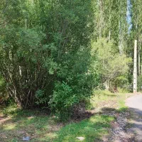 زمین-ویلای-لاکچری-بر-جاده-اصلی-سه-بر-ویوی-بی-نظیر